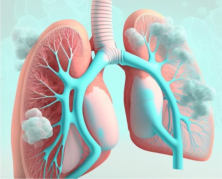Các bệnh thường gặp ở phổi