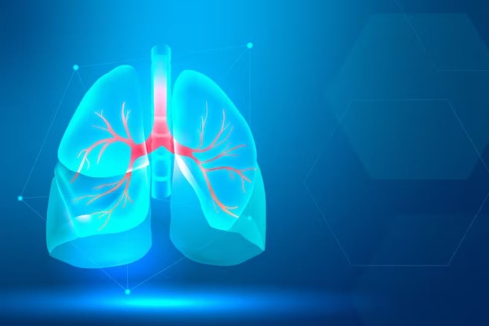 Chức năng  và nhiệm vụ của phổi đối với con người