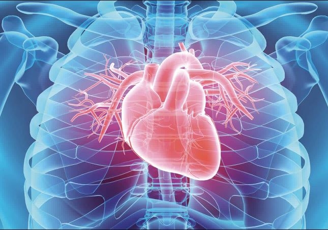 Đau Ngực (Angina Pectoris): Triệu Chứng, Nguyên Nhân và Cách Điều Trị